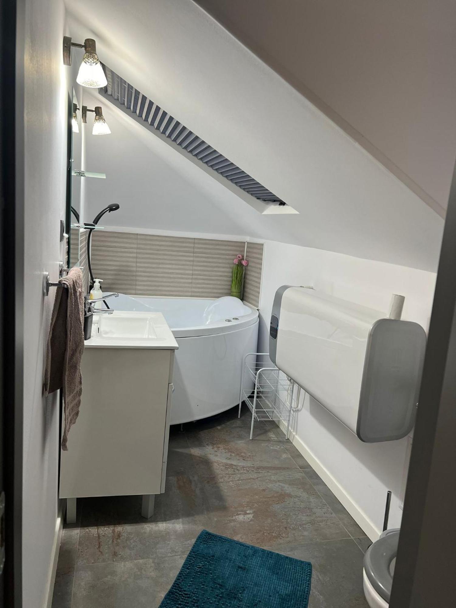 Apartament Mansarda Venus Râmnicu Vâlcea Buitenkant foto
